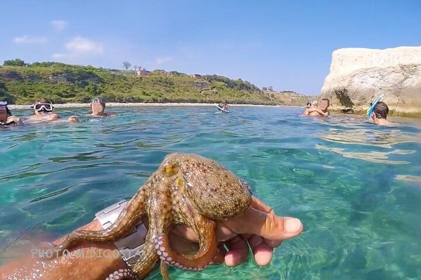 PRIVATE BOAT TOUR. Top experience from Tropea to Capo Vaticano - up to 8 people