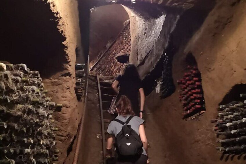 Fabulous EnoBike experience with visit and tasting in 3 cellars of excellence