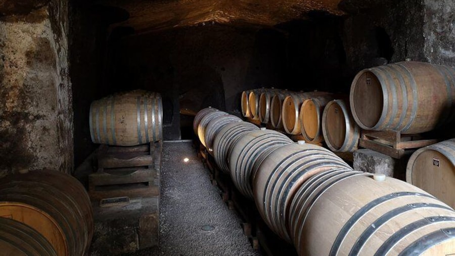 Fabulous EnoBike experience with visit and tasting in 3 cellars of excellence