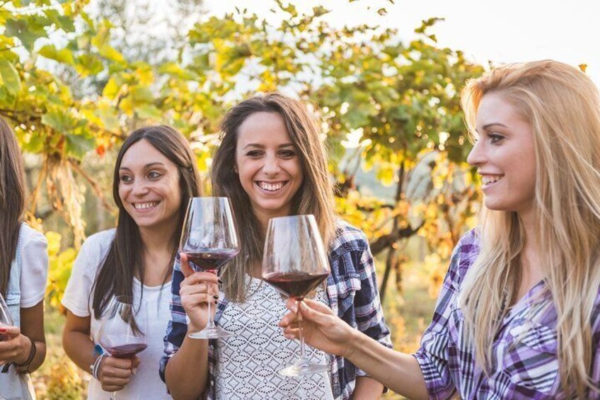 Knowledge, passion and love for the earth Walk through the vineyards taste the wines