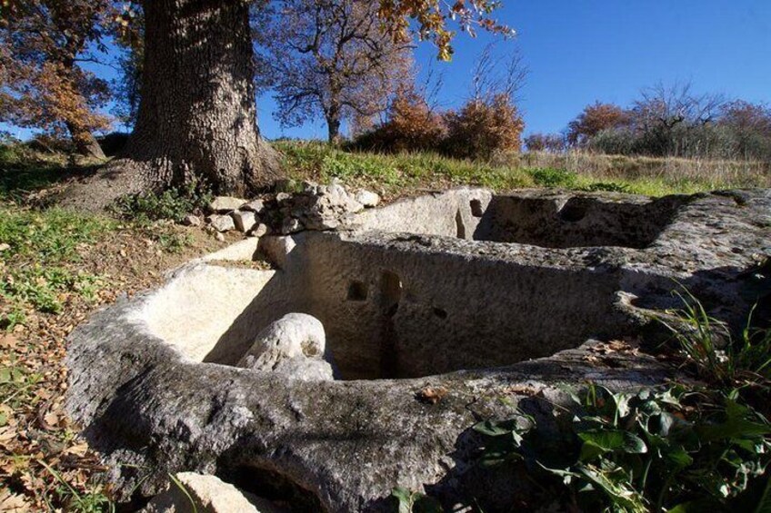 Guided tour of the Palmenti of Pietranico