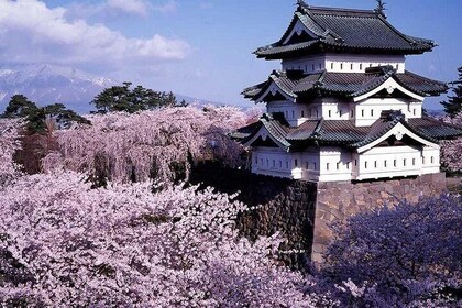 Recorrido privado de 6 horas por Hirosaki con guía autorizado por el gobier...