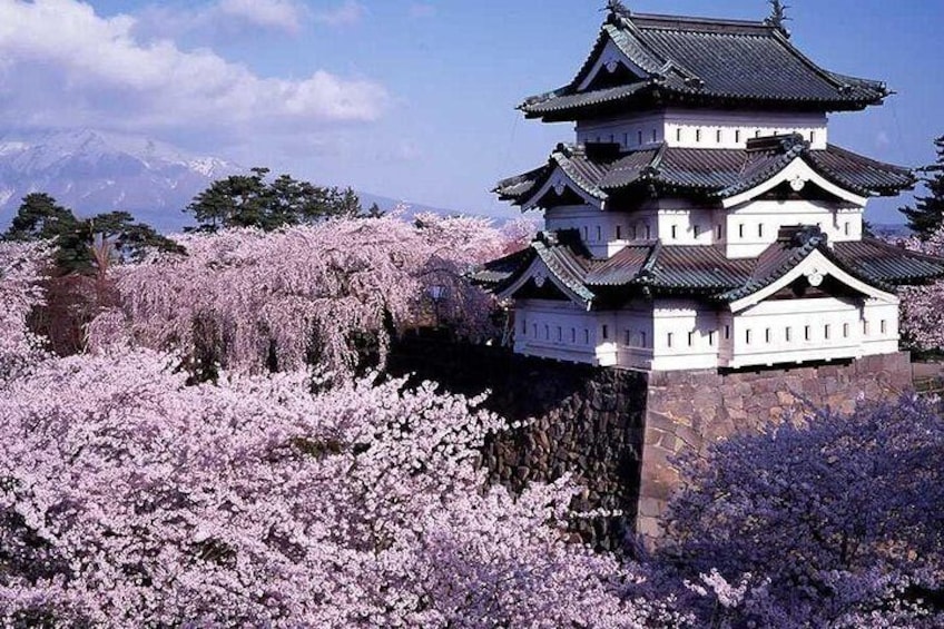 Hirosaki Full-Day Private Tour with Nationally-Licensed Guide