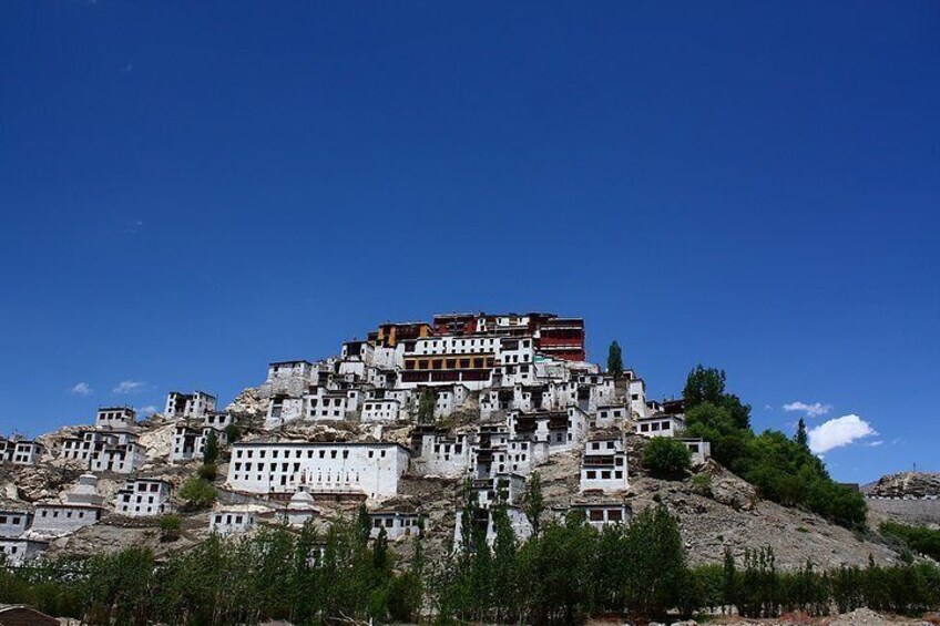 Full Day Leh Monasteries Tour (Shey, Thiksey & Hemis)