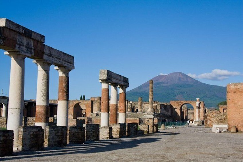 Vesuvius, Pompeii (private guide),vineyards and winery tour, lunch wine taste .