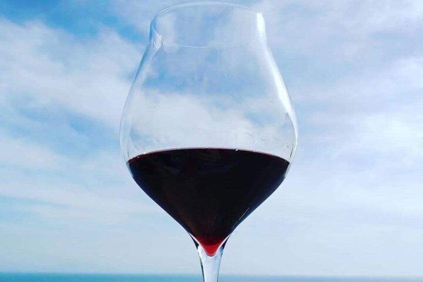 Genuine Home Cooking Class + Wine Tasting
