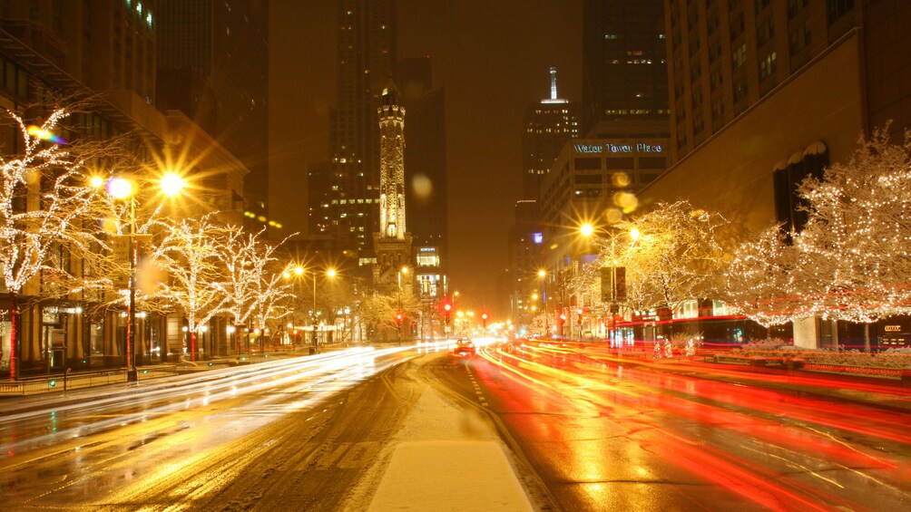 Chicago Holiday Lights Trolley and Christmas Market