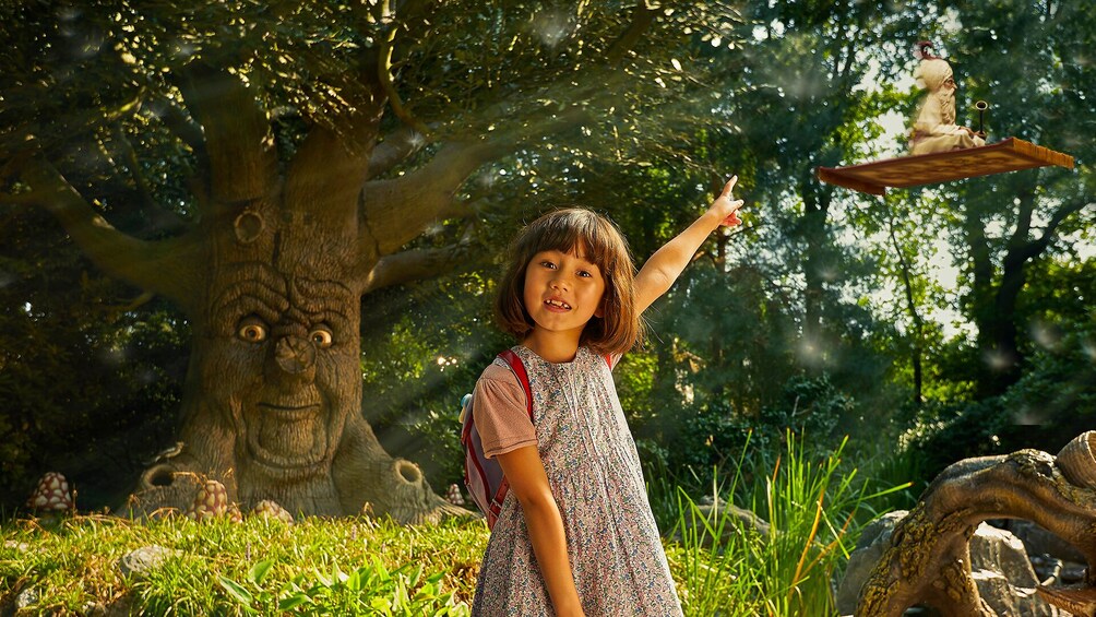 Foto 5 van 10. Efteling Ticket Giant