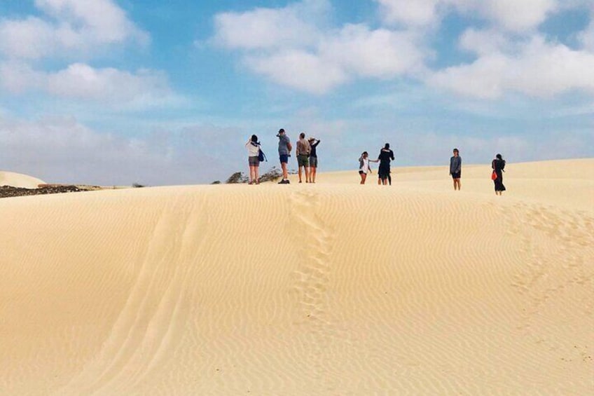 Boa Vista Island: Full-day Northeast Tour + Ervatão Beach