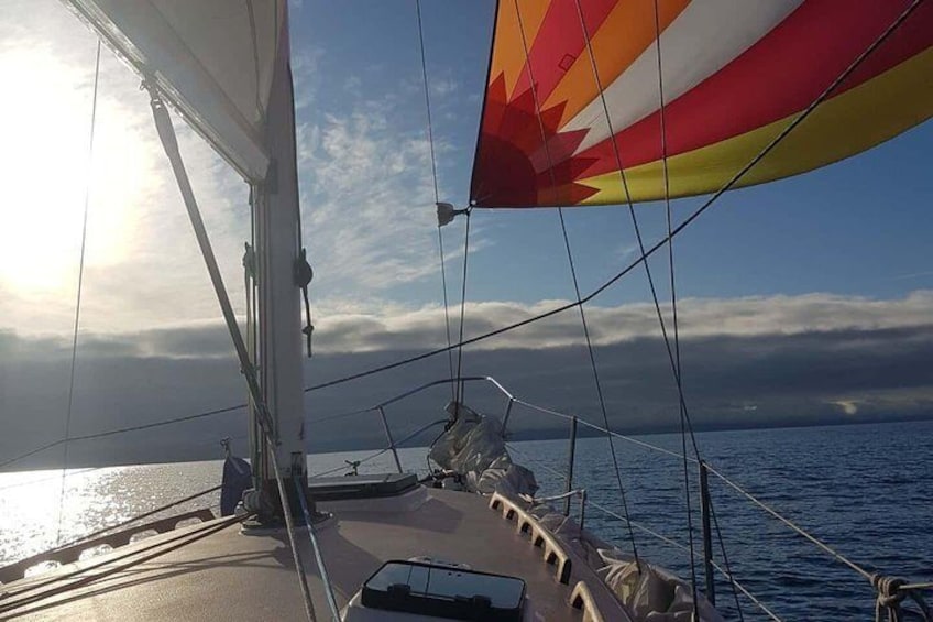 4-Hour Sailing Adventure on The Strait of Juan de Fuca