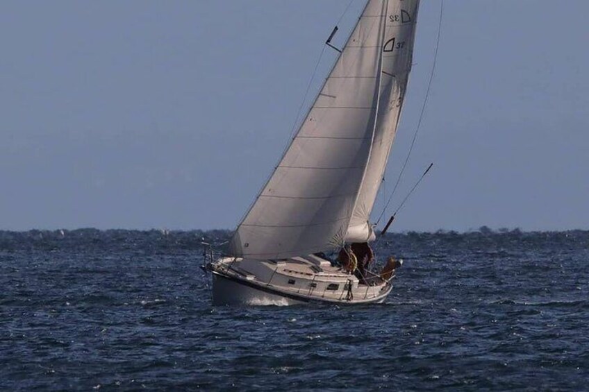 4-Hour Sailing Adventure on The Strait of Juan de Fuca