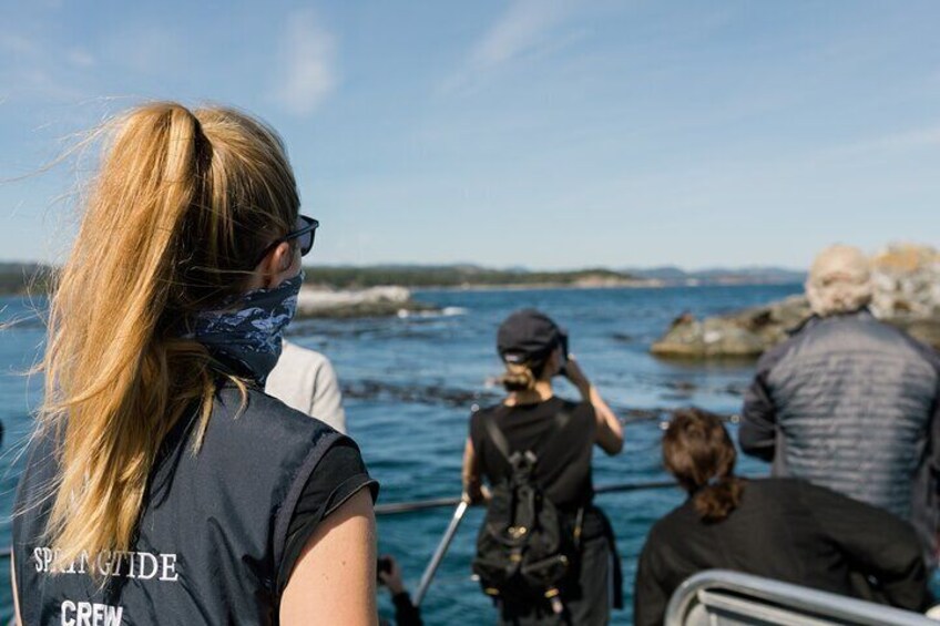 See, feel and smell the magic natural habitat of Seals, Sea Lions, and Seabirds.