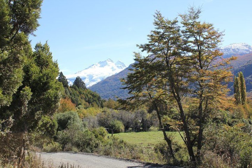Cerro Tronador