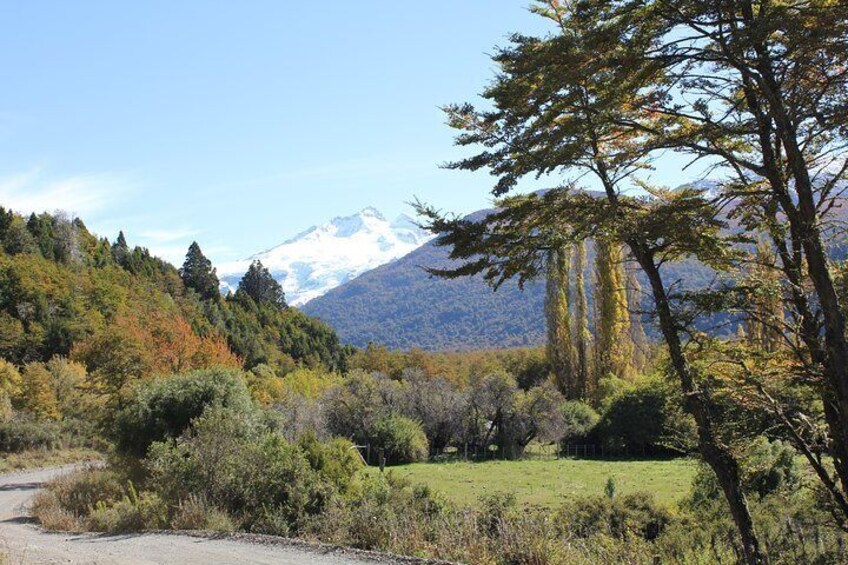 Cerro Tronador