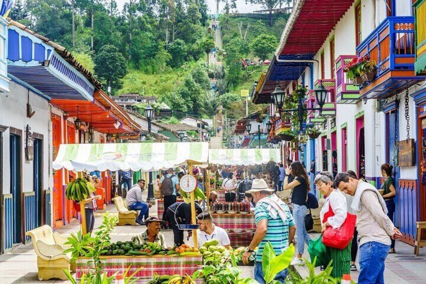 Cocora Valley and Salento Horseback Riding Day Tour 