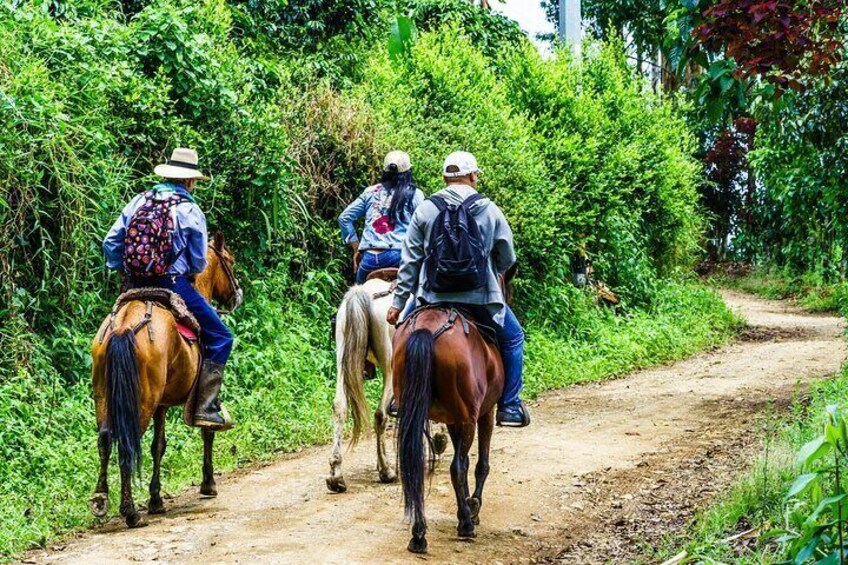 Cocora Valley and Salento Horseback Riding Day Tour 