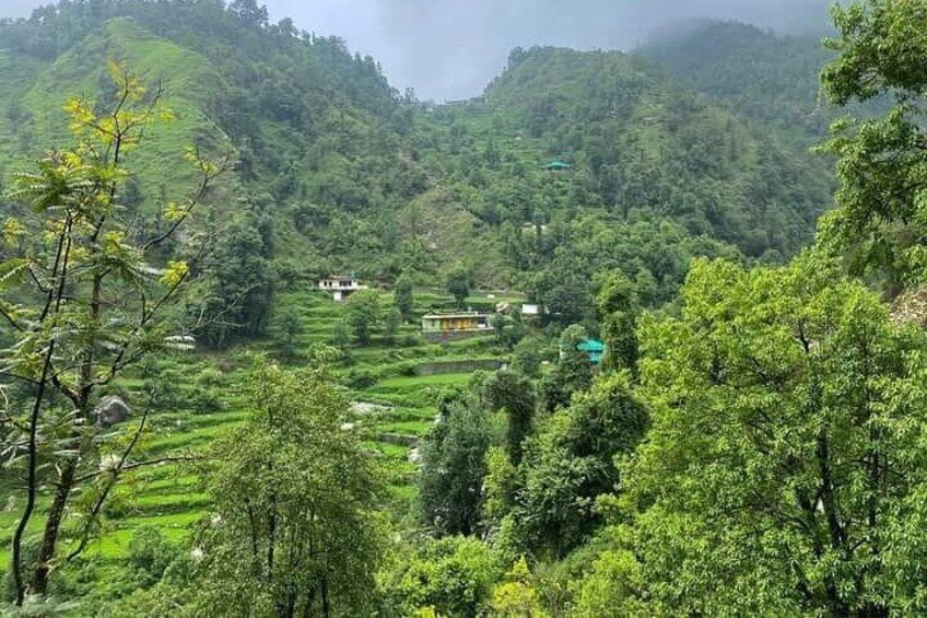 Guided Village walk with Stories in Dharamsala