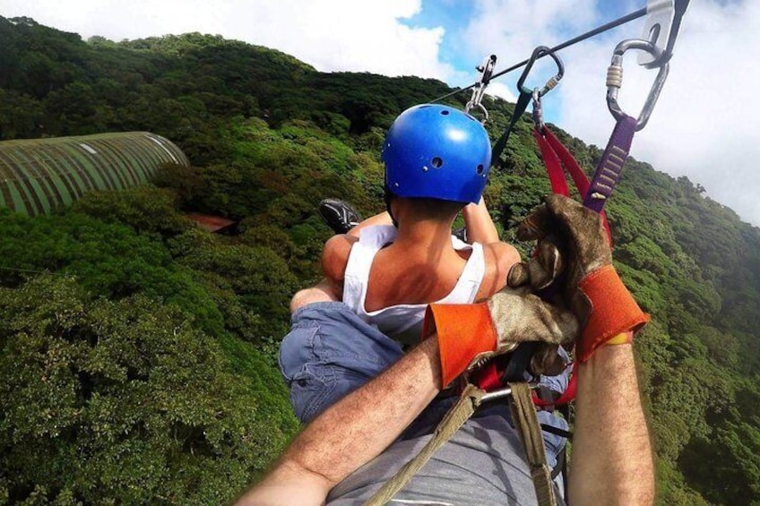 Zip Line