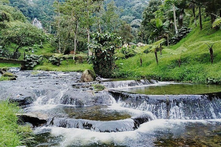 Santa Rosa de Cabal and Hot Springs Full-Day Trip