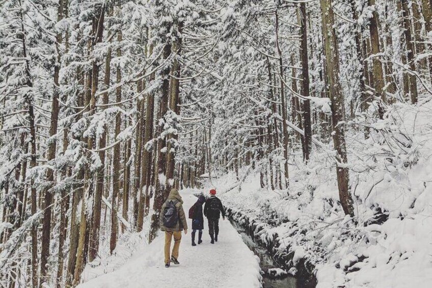 Guests in winter will enjoy the scenic walk along the forest trail to the park.