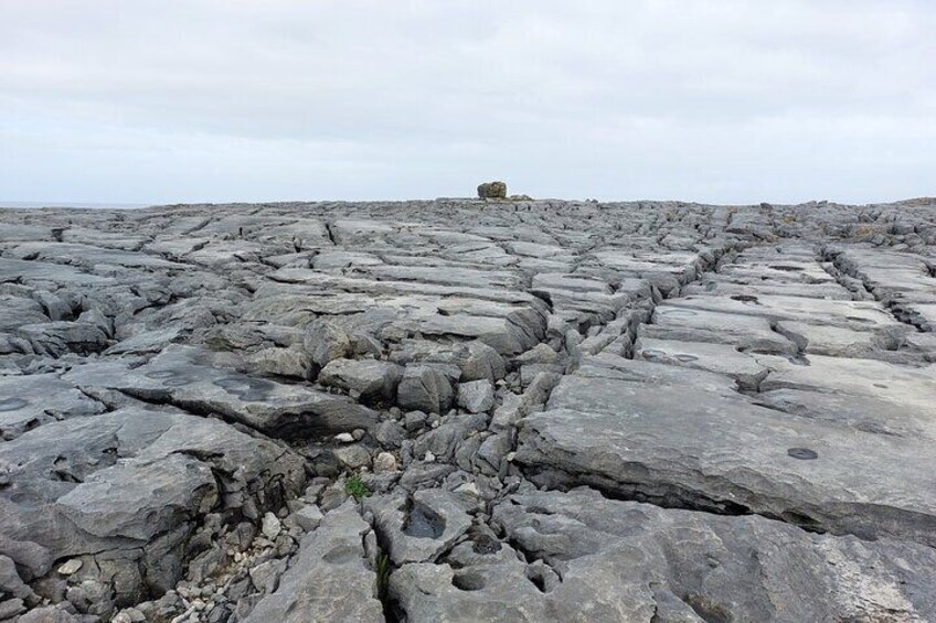 Cliffs of Moher and Wild Atlantic Way Private Tour from Galway 