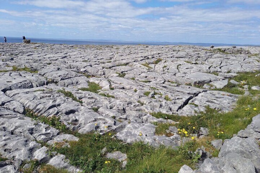 Private Cliffs of Moher and Wild Atlantic Way Chauffeur-Driven Tour from Galway