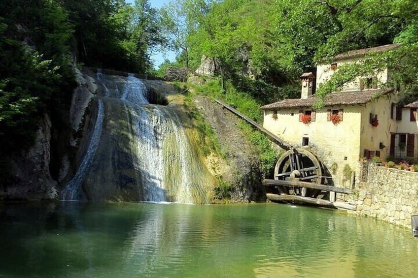 Full Day Prosecco Wine Tasting. 2 Wineries. From Venice