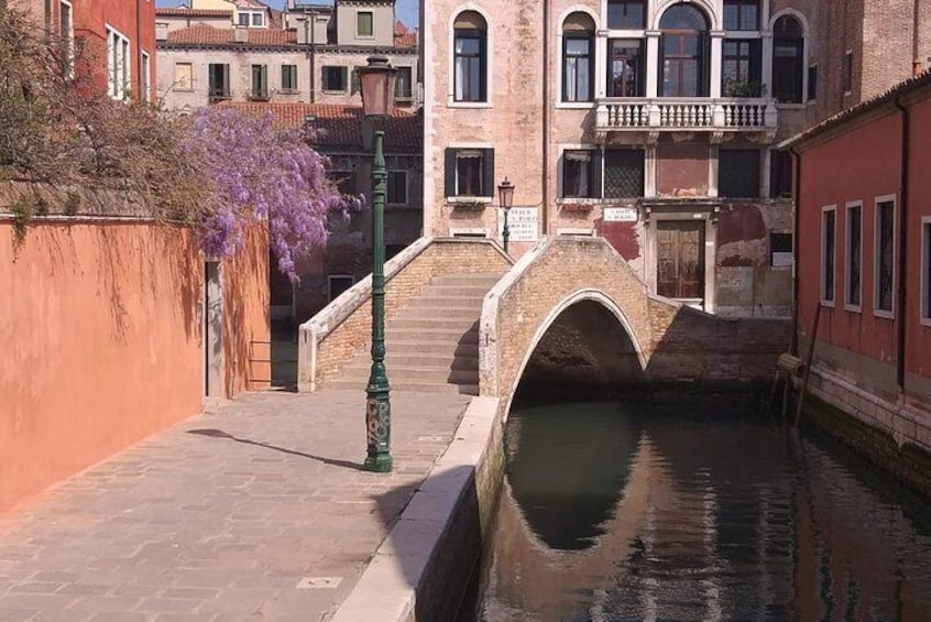 Venice Walking Tour of Most-Famous Sites Monuments & Attractions with Top Guide