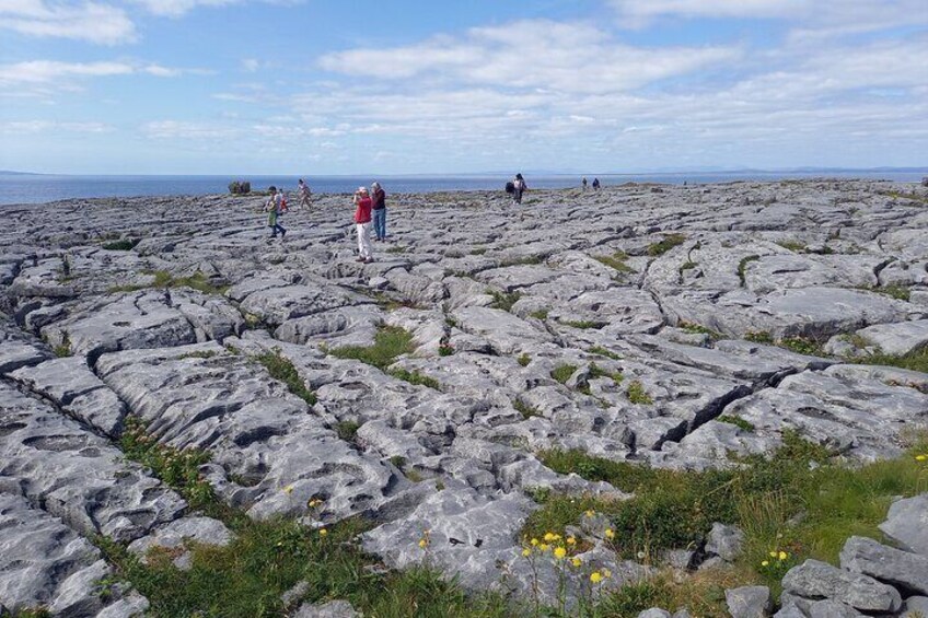 Cliffs of Moher, Burren and Wild Atlantic Way Private Tour from Galway