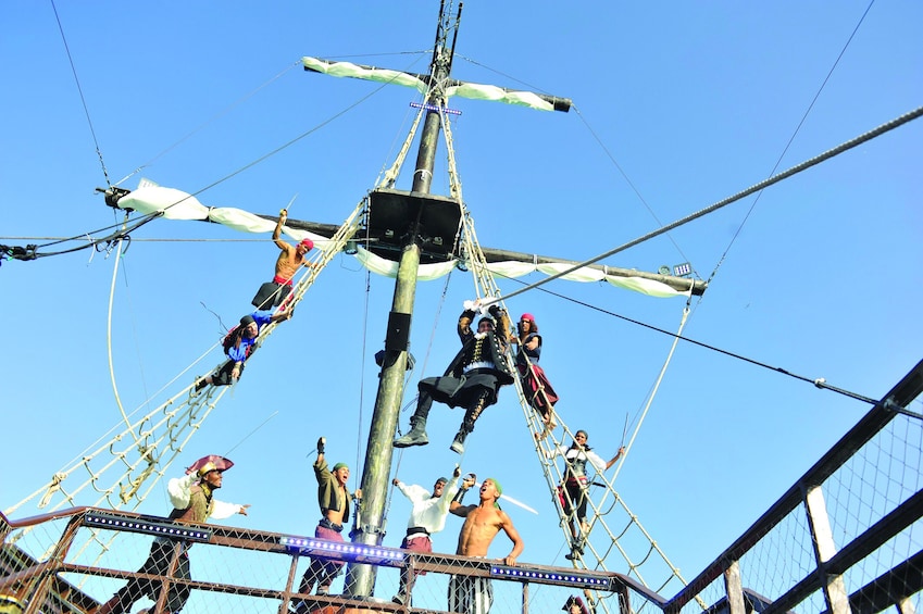 Pirates of the Caribbean Cruise- Snorkel, Sharks & Stingrays