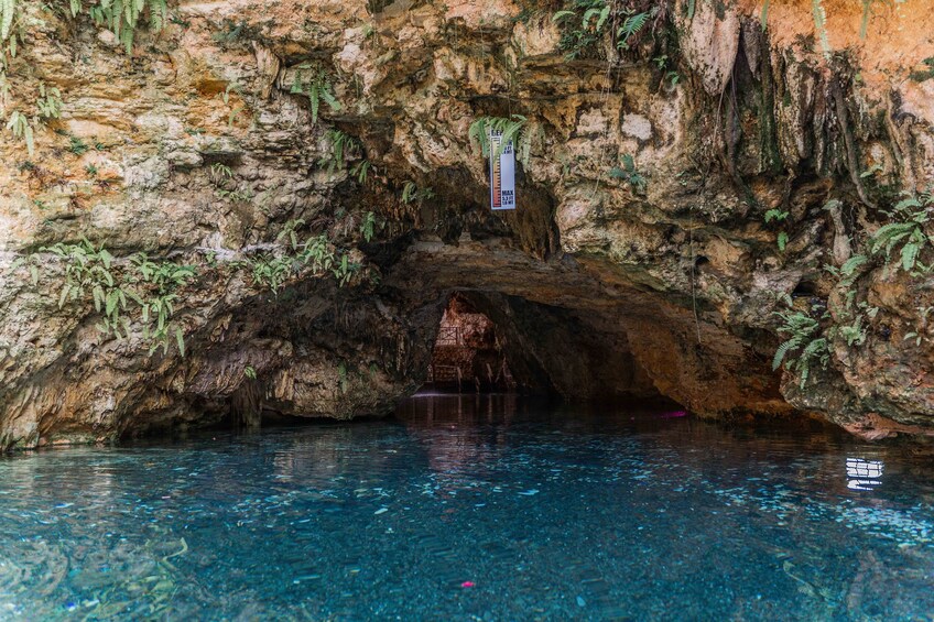 Off-Road Adventure in a Buggy & Cave Swim