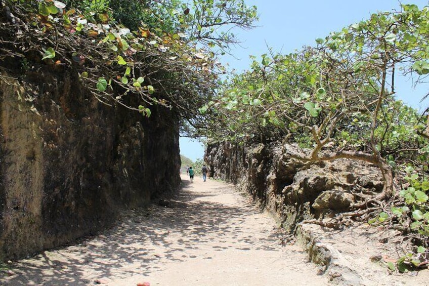 Path of the old costal railroad of Puerto Rico