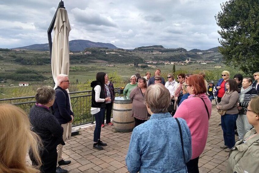 Amarone Wine Tasting in Valpolicella | 3 Wines + Snacks