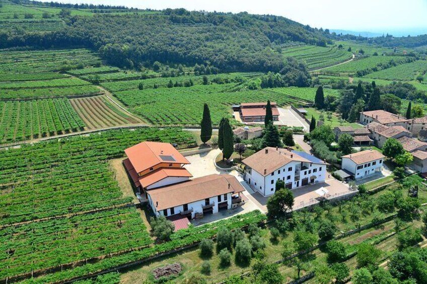 Amarone Wine Tasting from Verona