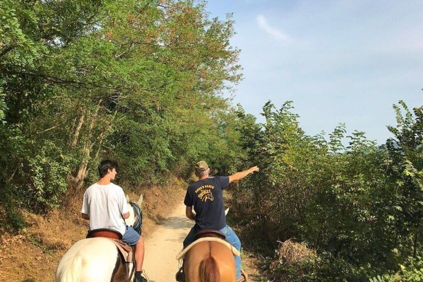 Horseback riding and wine tasting