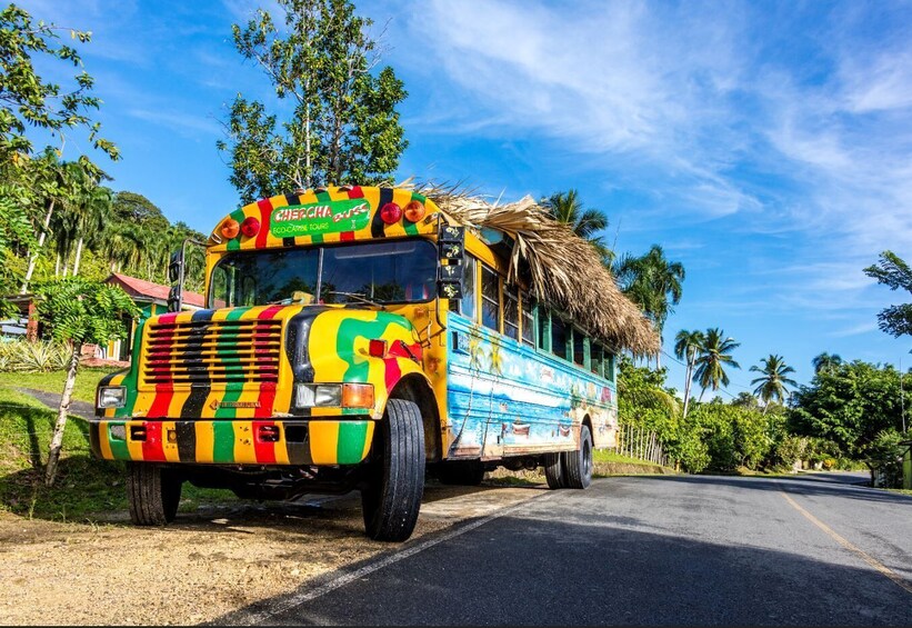 Dominican Culture Tour With Beach Horseback Ride