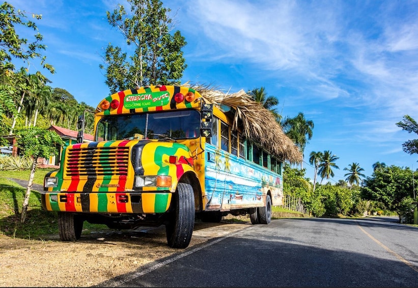 Dominican Culture Tour With Beach Horseback Ride
