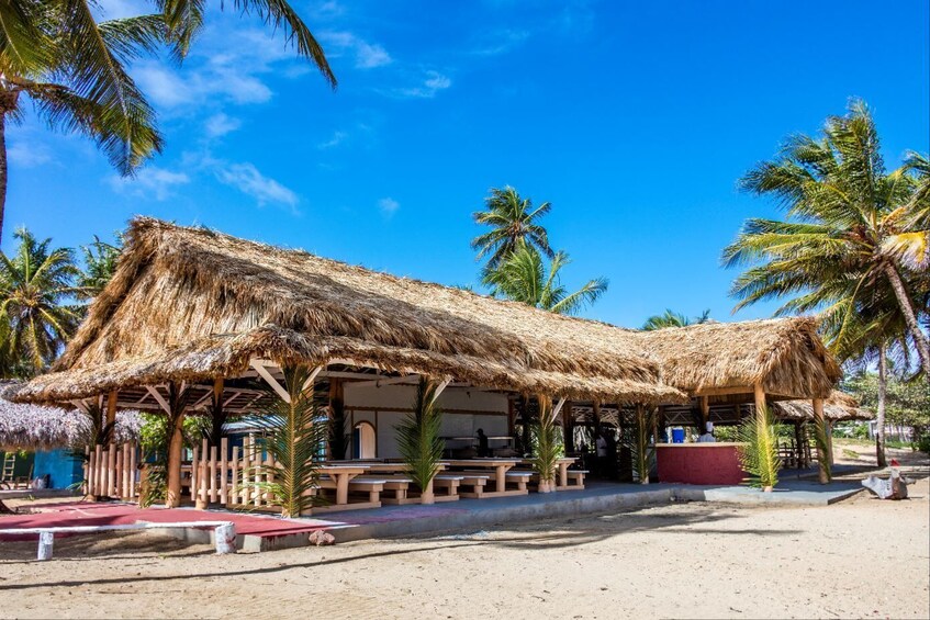 Dominican Culture Tour With Beach Horseback Ride