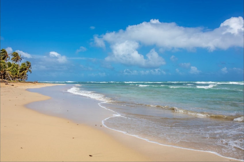 Eco Caribe Exclusive