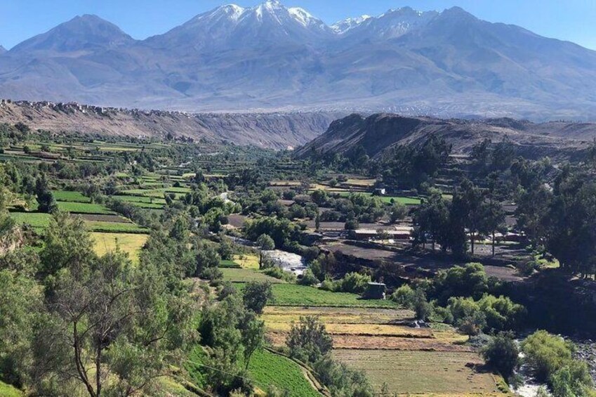 City Tour in Arequipa, Santa Catalina and viewpoints
