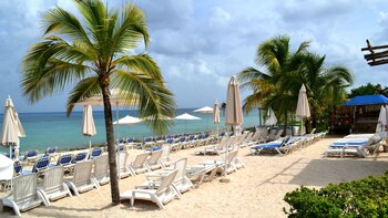 Discover Mexico Park & Snorkeling Tour