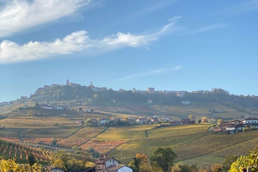 Private Barolo / Barbaresco - Piedmont Wine Tours and Tastings