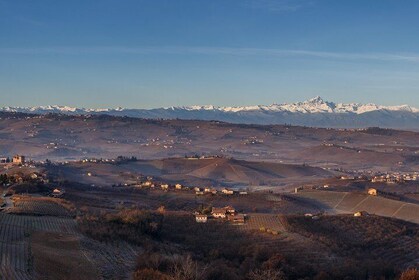 Private Barolo / Barbaresco - Piedmont Wine Tours and Tastings