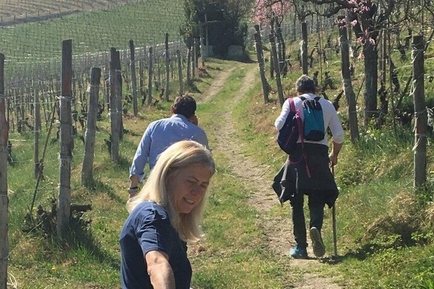 Abellonio Cascina Piccaluga - visit to the vineyards, to the wine tasting cellar