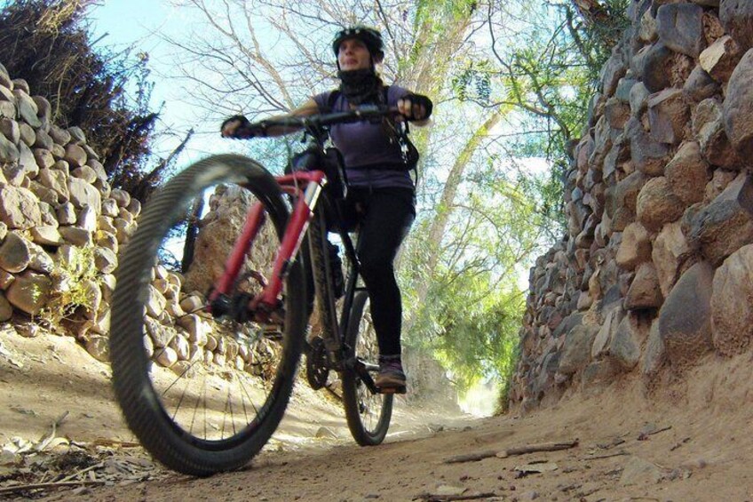 Mountain biking around Tilcara
