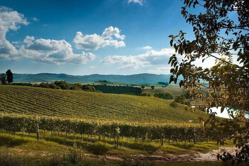 Private Montalcino and Pienza Tour from Siena