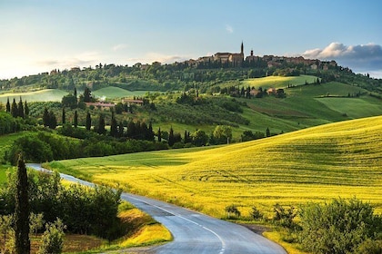Private Montalcino and Pienza Tour from Siena