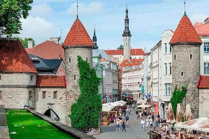 Tallinn by yourself with english speaking driver by car, minivan or minibus