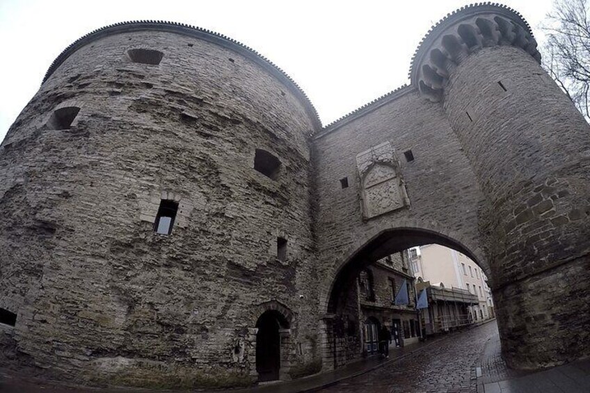 Tallinn by yourself with english speaking driver by car, minivan or minibus