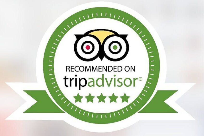 Check out our fantastic reviews